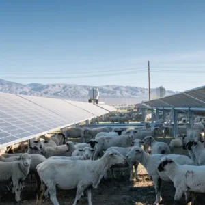Zajedno za rijeke i održivi razvoj obnovljivih izvora energije Zajedno za rijeke i održivi razvoj obnovljivih izvora energije