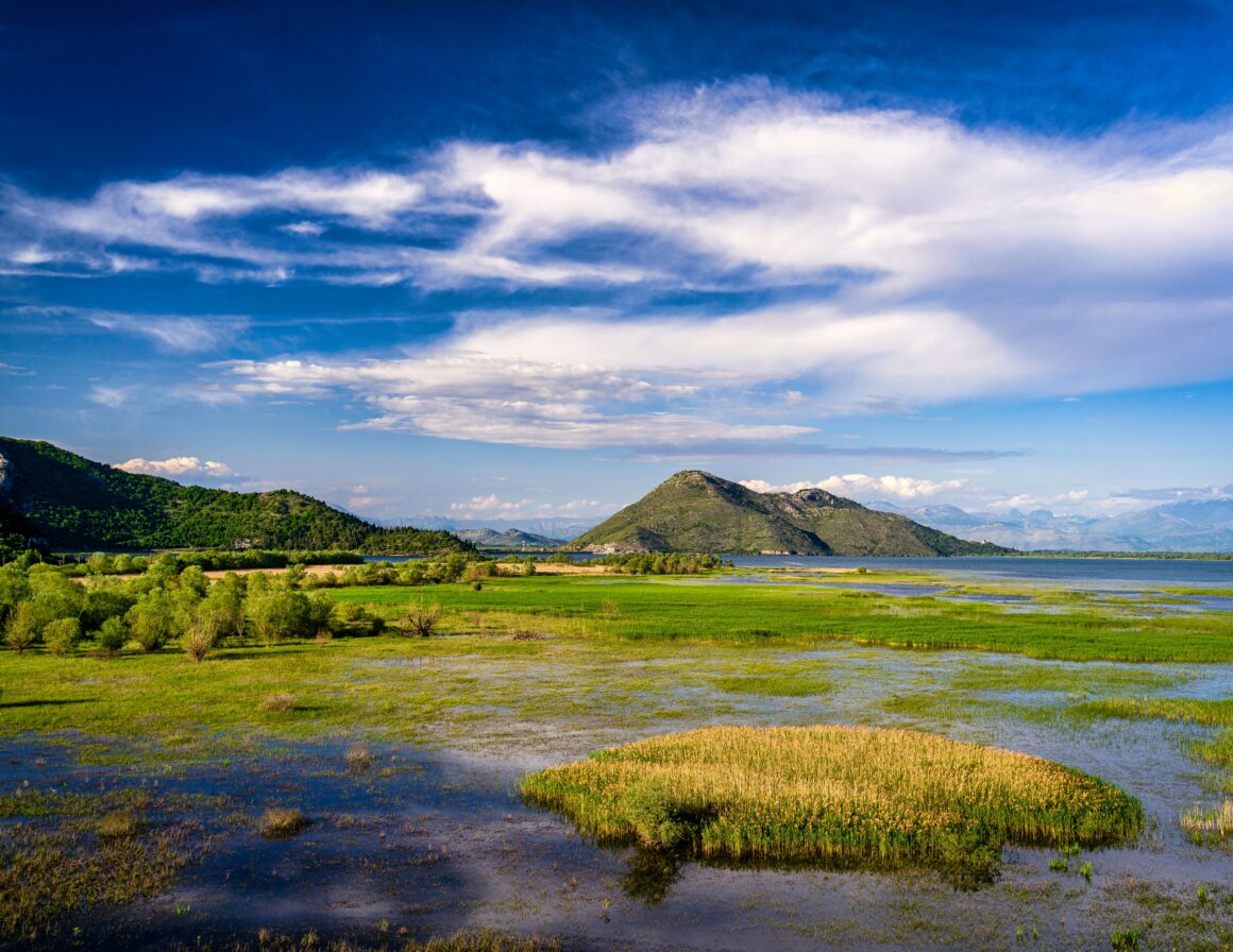Support for the Conservation and Sustainable Management of Skadar Lake Basin Ecosystems